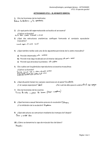 Ejercicios-tema-11-anatomia.pdf