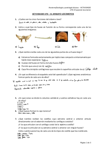 Ejercicios-anatomia-tema-6.pdf