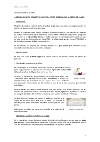 Cuestionario-Clase-Invertida.pdf
