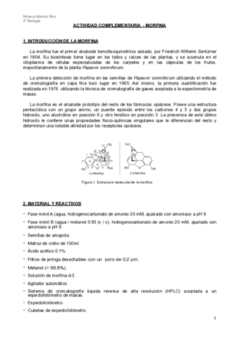 Actividad-complementaria-Morfina.pdf