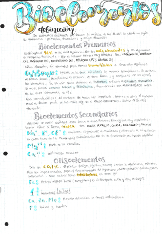 1-Bioelementos.pdf