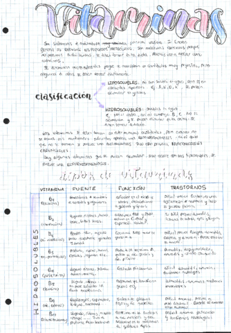 Vitaminas-.pdf