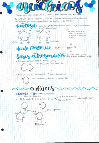5-Acidos-Nucleicos.pdf