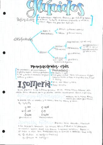 2-Glucidos.pdf