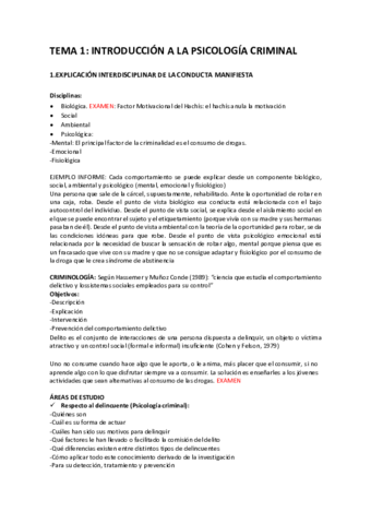 Temario-completo-2.pdf