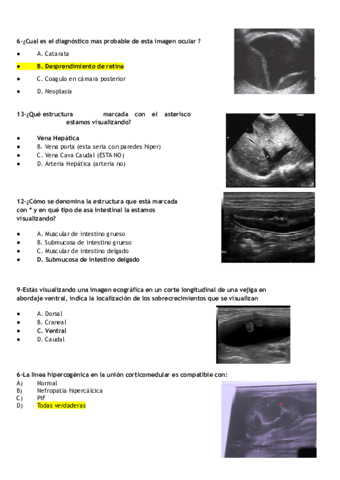 RECOPILACION-CASOS-.pdf