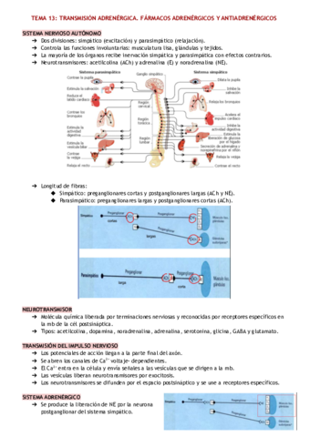 Apuntes-farmacologia-del-Sistema-nervioso.pdf