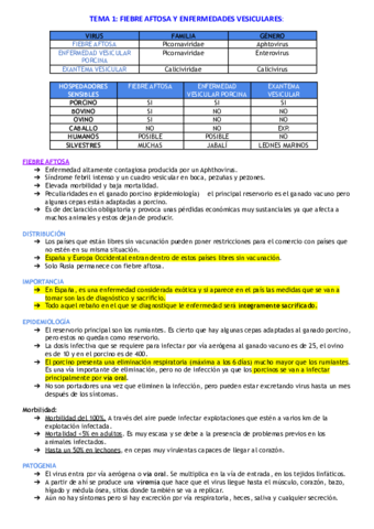Apuntes-infecciosas-II-copia.pdf