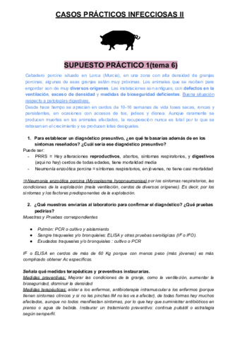 Supuestos-practicos-corregidos.pdf