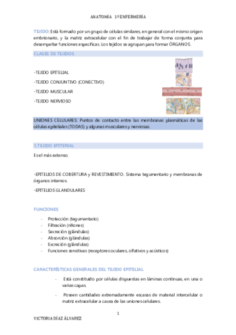 Apuntes-anatomia-T.pdf