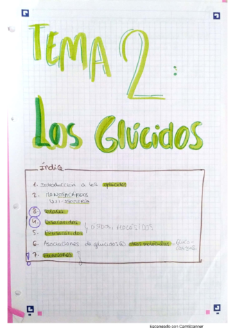 2-glucidos.pdf