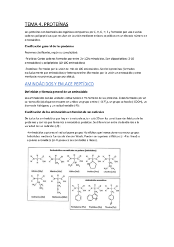 TEMA-4.pdf