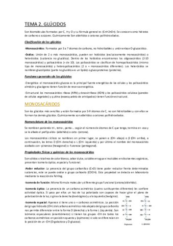 TEMA-2.pdf