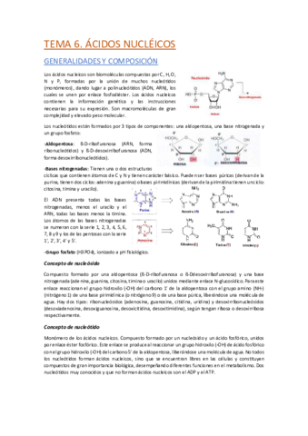 TEMA-6.pdf