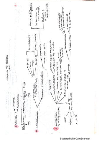 Tema-9-DPP-Esquema-.pdf
