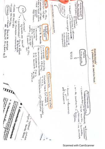 Tema-3-Esquema-DPP.pdf