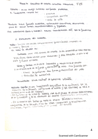 Tema-14-Apuntes-DPP.pdf