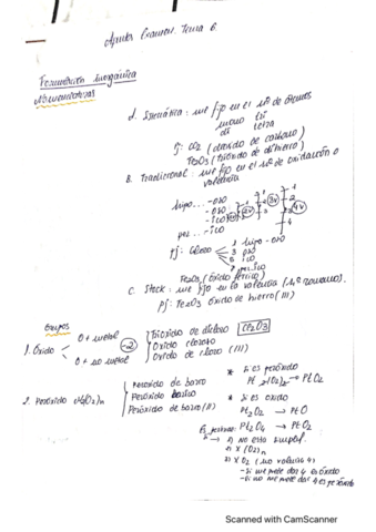 Tema-6-OBL-Res-y-Esq.pdf