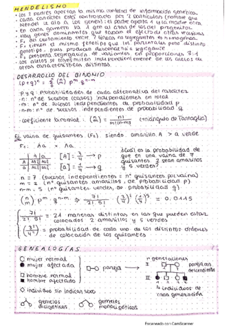 teoria-problemas.pdf