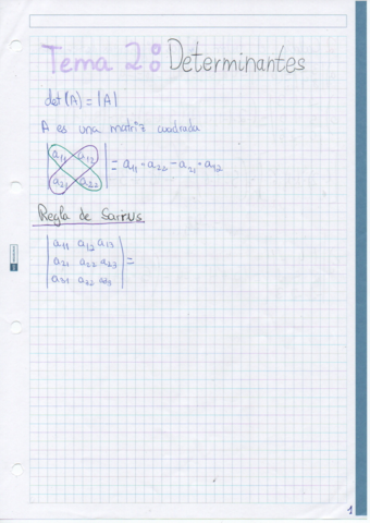 Tema-2-Determinantes.pdf
