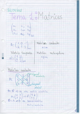 Tema-1-Matrices.pdf