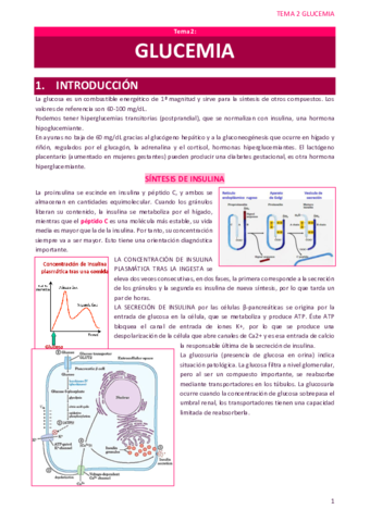 TEMA-2-GLUCEMIA.pdf