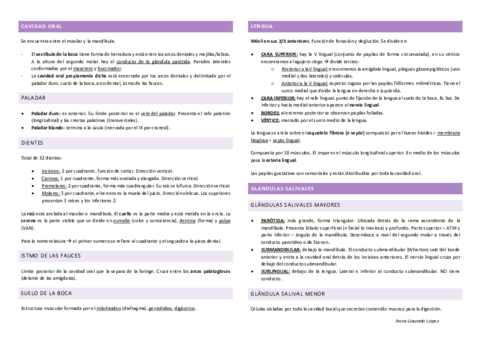 Resum-coses-importants.pdf