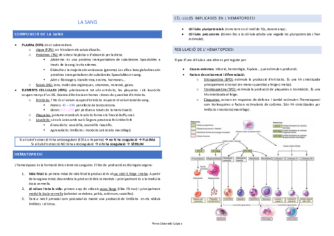 Resum-examen-TDI.pdf