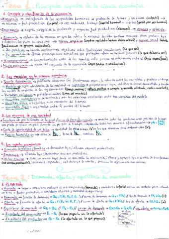 ECO-Resumen-temas-1-6.pdf