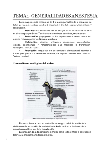 Apuntes-ANESTESIA.pdf