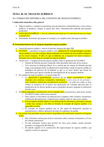 Tema-20-civil.pdf