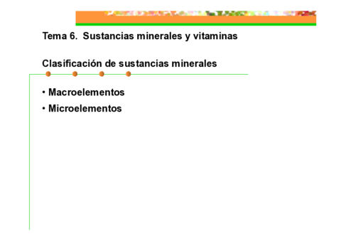 Tema-6-vitaminas-y-minerales.pdf