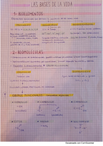 BIOQUIMICA.pdf