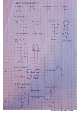 RESUMEN-DIBUJOS-BIOQUIMICA.pdf