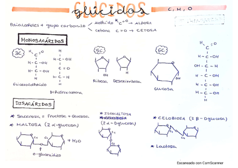 Tarjetas-Bioquimica.pdf
