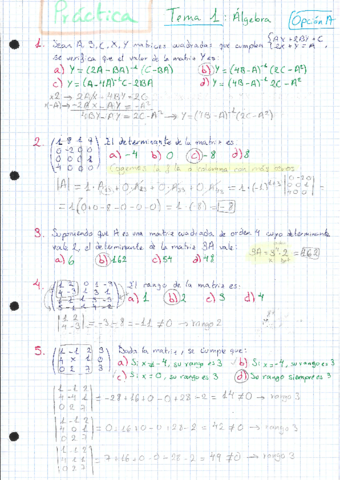 MAT-Ejercicios-algebra.pdf