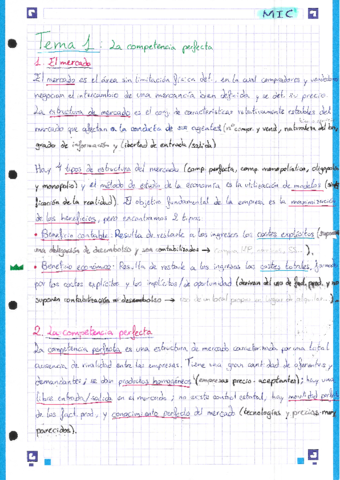 MIC-Tema-1.pdf