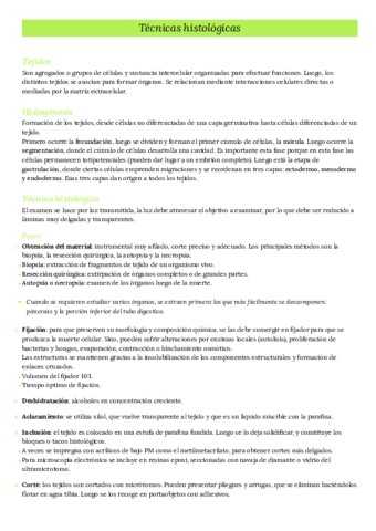 1er-parcial-Teorico.pdf