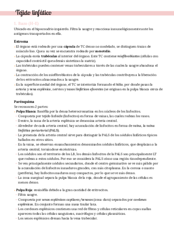 2do-parcial-Practico.pdf