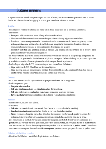 3er-parcial-Teorico.pdf