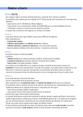 3er-parcial-Practico.pdf