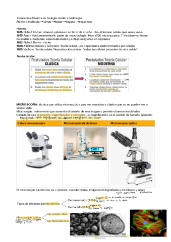 T1-Apuntes-.pdf