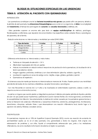 Tema-9.pdf