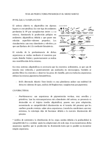 OB.pdf