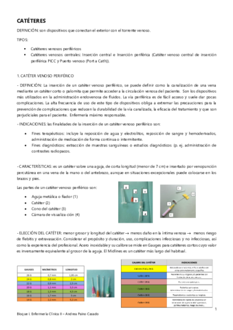 Tema-1.pdf