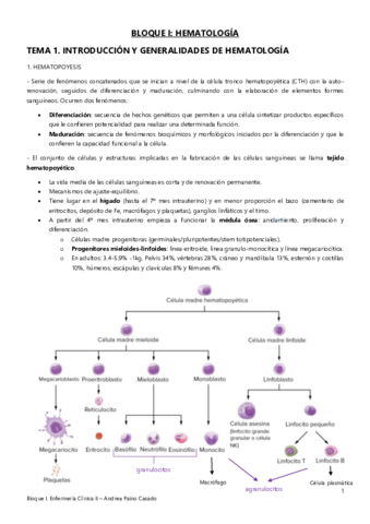 Tema-1.pdf