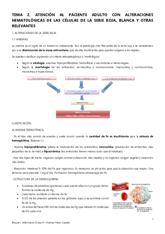 Tema-2.pdf