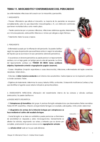 Tema-11.pdf