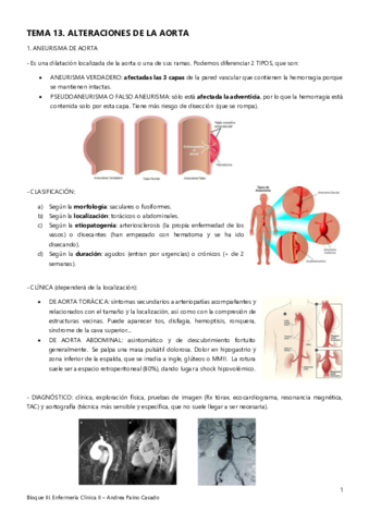 Tema-13.pdf