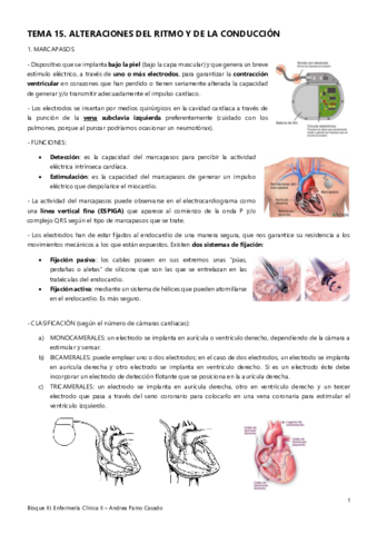 Tema-15.pdf